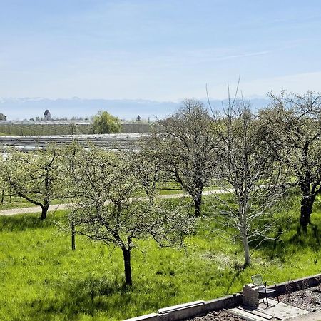 Ferienwohnung Plocher Immenstaad am Bodensee Kültér fotó