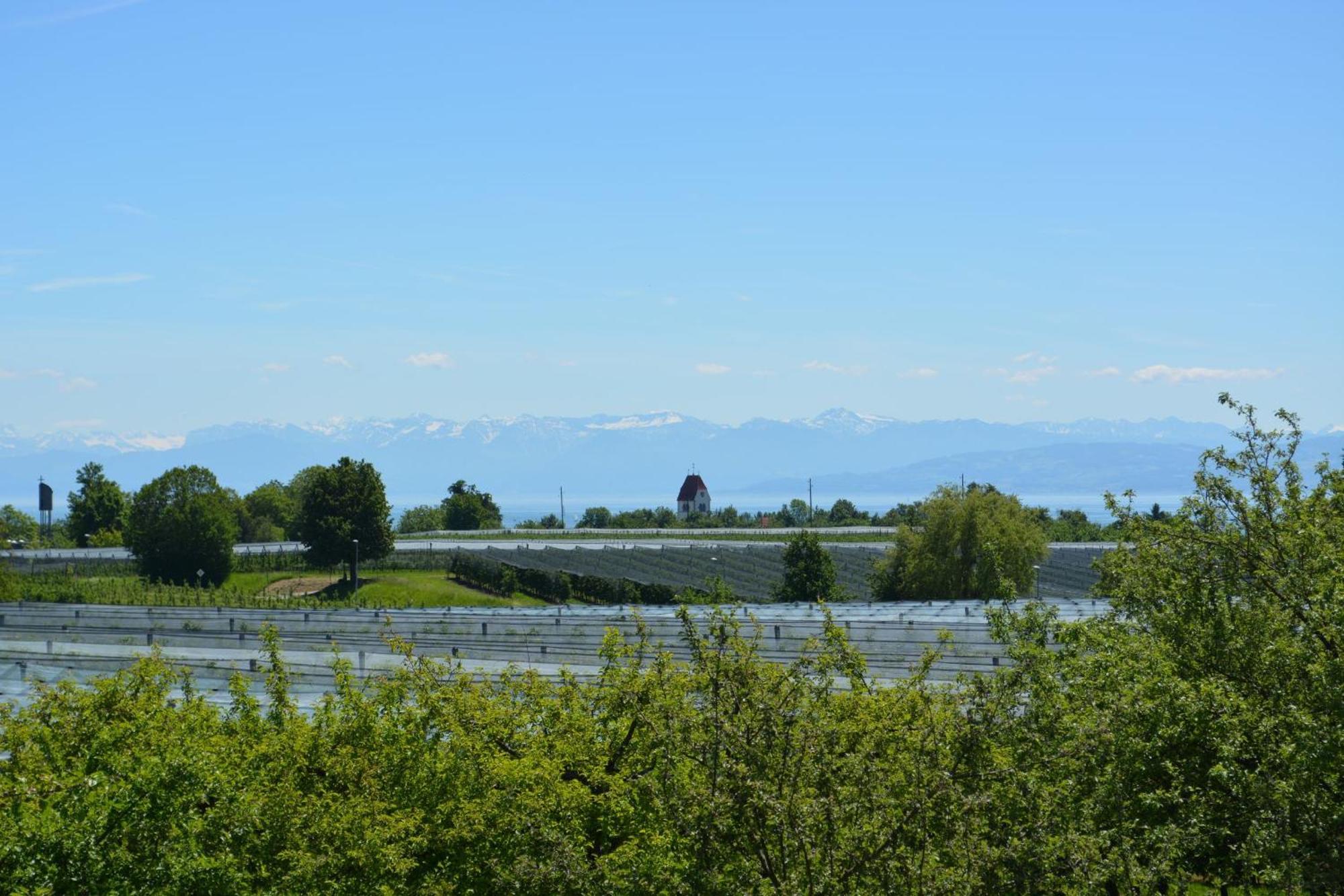 Ferienwohnung Plocher Immenstaad am Bodensee Kültér fotó