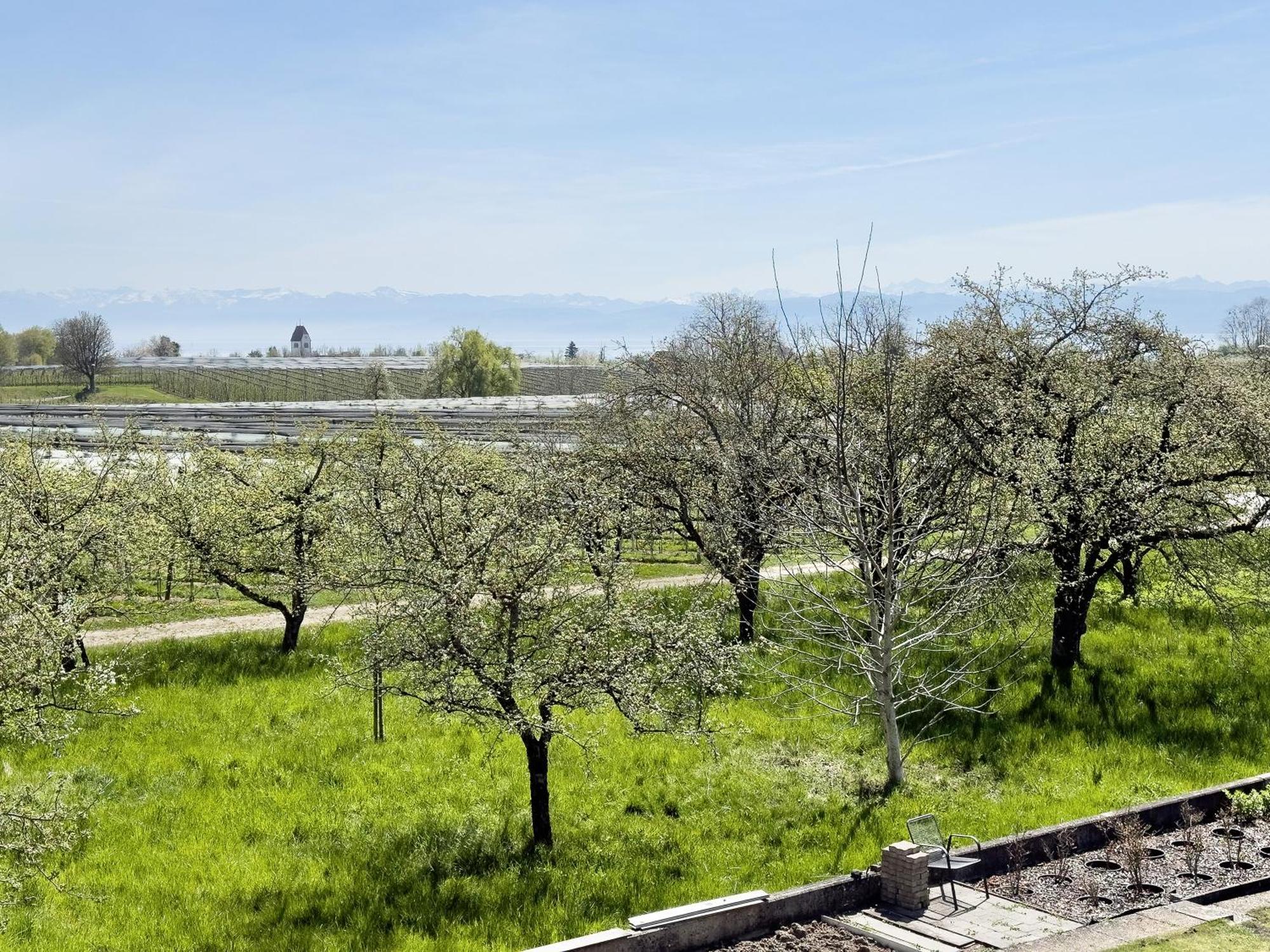 Ferienwohnung Plocher Immenstaad am Bodensee Kültér fotó